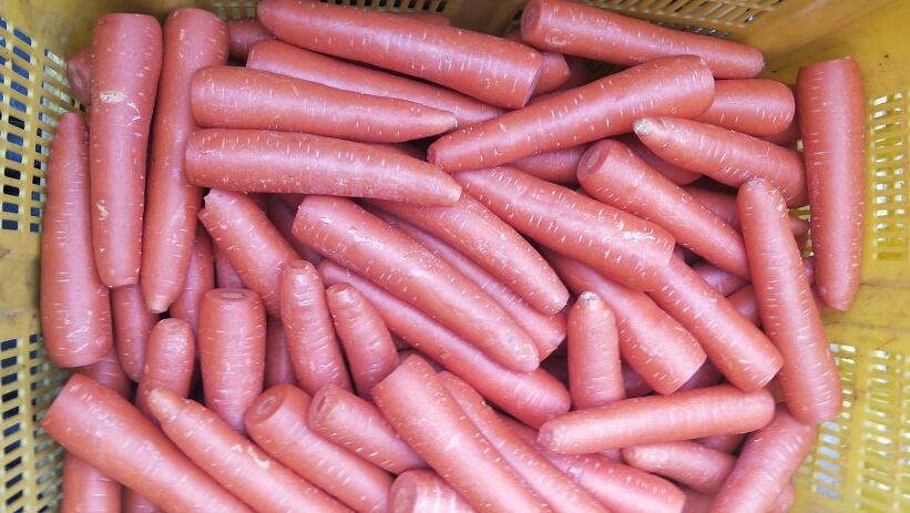 1591582224128811.jpg 生鮮配送"QQ截圖20200608101004.jpg"/